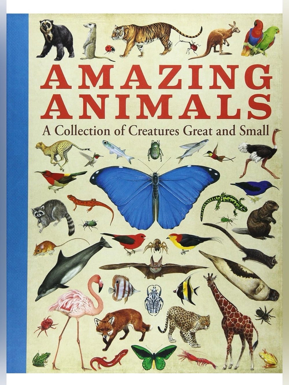 Amazing Animals: A Collection of Creatures Great and Small